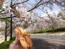桜の木の下で