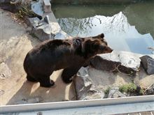 東山動物園