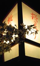 夜桜