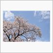 ４月１７日　快晴だけどノープ ...