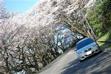 桜から始まった日曜日ww 桜から始まった日曜日ww