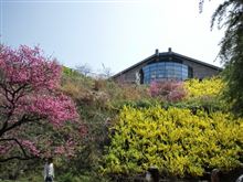 おはよー♪ ここはどこ~? [11/04/17。 おはよー♪ ここはどこ~? [11/04/17。