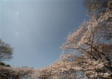 実家に帰りました。 実家に帰りました。