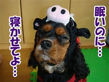 こんな日曜日は嫌だっ！…