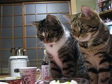 怒られるかもしれないが オタク一考 mixi版から微妙に修正版 怒られるかもしれないが オタク一考 mixi版から微妙に修正版