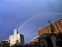 虹の架け橋・・・