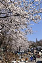 春の陽気が一転