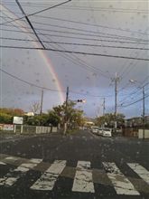 今日の一枚！