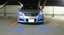 お久しぶりです