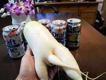 やる気満々