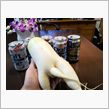 やる気満々