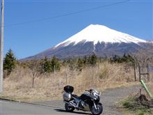 今朝の　ふじいさん