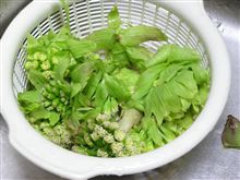 季節