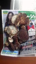 大・・・きい？