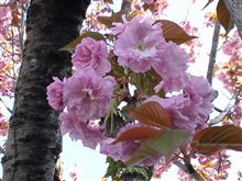 おはようございま～す♪　[11/04/25]