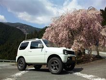 『桜に纏わる物語』