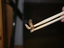 素手では無理