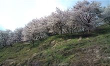 南相馬の旅、飯舘村から二本松ICへ・・・ 南相馬の旅、飯舘村から二本松ICへ・・・