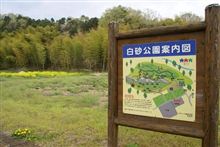 花を訪ねて秩父ドライブ ~白砂公園&カイドウ街道~ 花を訪ねて秩父ドライブ ~白砂公園&カイドウ街道~