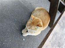 榎本牧場ナウ