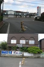 ようこそ足利へ－歴史と文化と花のまち－