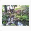 京都観光