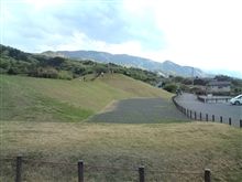 今日行った公園