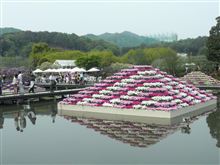 連休２日目は足利フラワーパーク　（●＾o＾●）