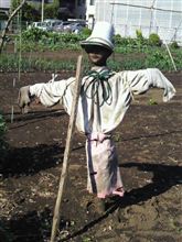 爆睡を終えて（笑）　～胡蝶の夢から考える～