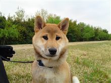 簡単に過去を清算ってわけにはいかないので… 簡単に過去を清算ってわけにはいかないので…