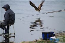 釣り人と鳥