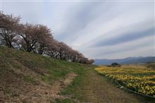 空