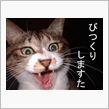 怖ろしすぎる交差点ё