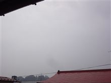 ５月１日　雨降りな９連休２日目の日曜日、おはです～♪