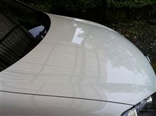 なんとか洗車終了