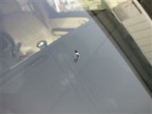 飛び石3連発