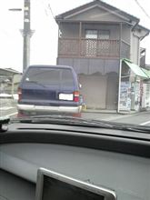 ビックリホーン見つけた！