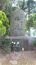 桜花