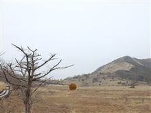 １人旅