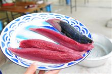 高知　ウマウマツーリングゥ～