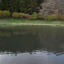 ▽春の色　GX100にて
