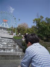 何故か黄昏る