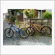 洗車２
