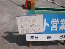 芝桜はまだでした