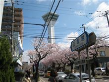 函館旅行
