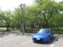 時期を外した桜の名所