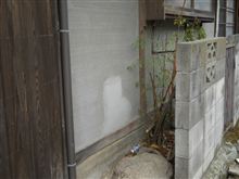 本日のトマソン