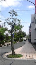 水の都へ…