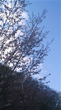 白川郷到着