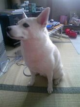 似てる…かなぁ…？